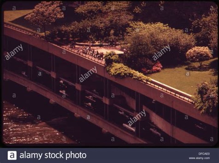 Terrence Shannon Jr Girlfriend: Who Is He Dating In 2023? - SarkariResult