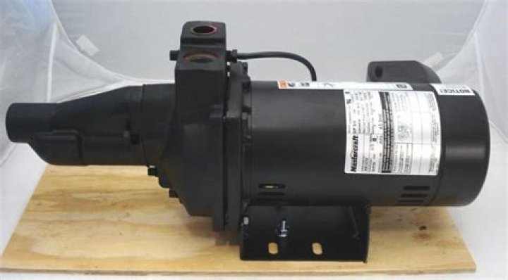 Is Fairly Napier Arrested? Who Arrested Fairly Napier? - SarkariResult