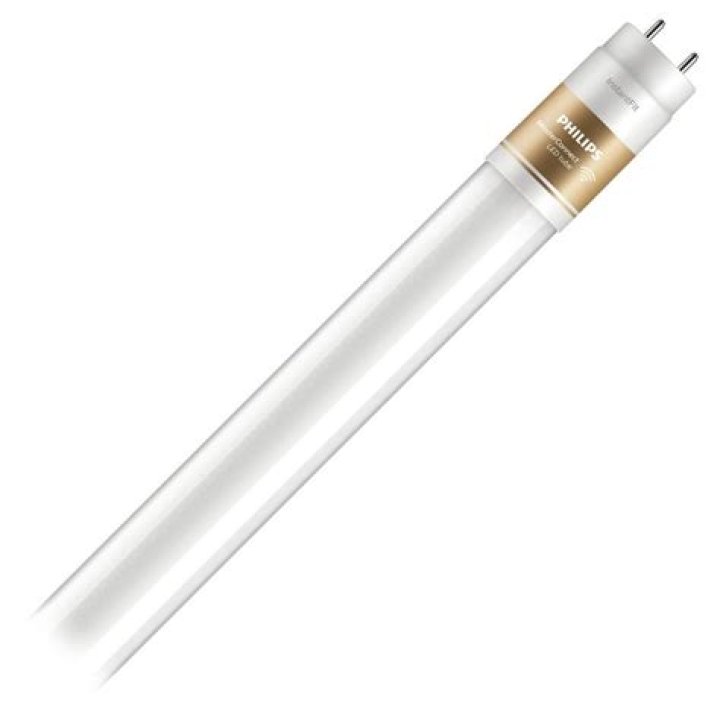 Allison's Fate on Loudermilk What Happened to Her Character? Who Portrays Allison on Loudermilk? - SarkariResult