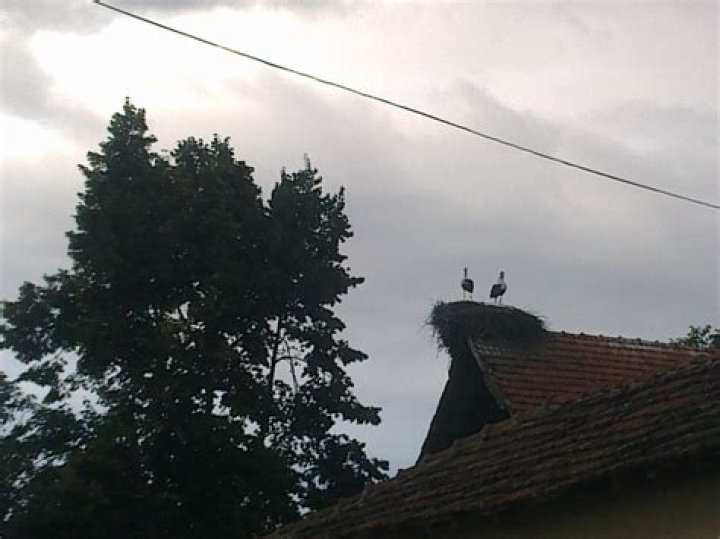 Kali Uchis and Don Toliver's Relationship – When Did They Start Dating, and How Long Have They Been Together? - SarkariResult