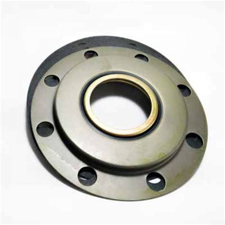 Steve Higgins Parents, Meet Father Harold Higgins And Mother Marian Coppola Higgins - SarkariResult