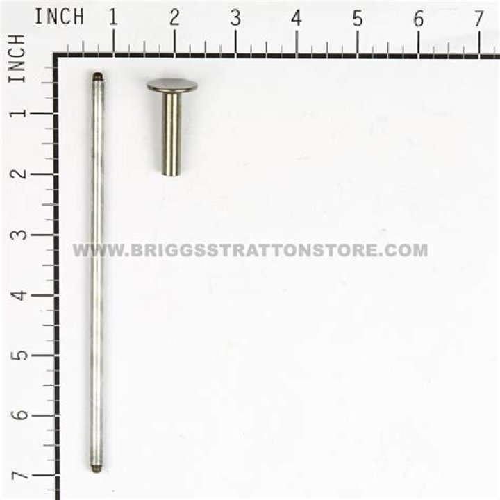 Richard Branson Net Worth: Career, Family, Age, Income, Wiki, Bio, All You Need to Know - SarkariResult