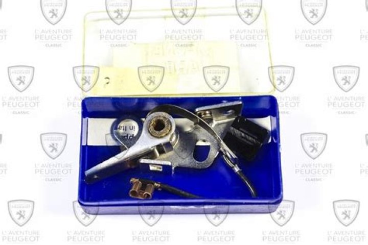 Is Amy Shark Married? Amy Shark Relationship Staus, Who is Amy Shark Husband? - SarkariResult