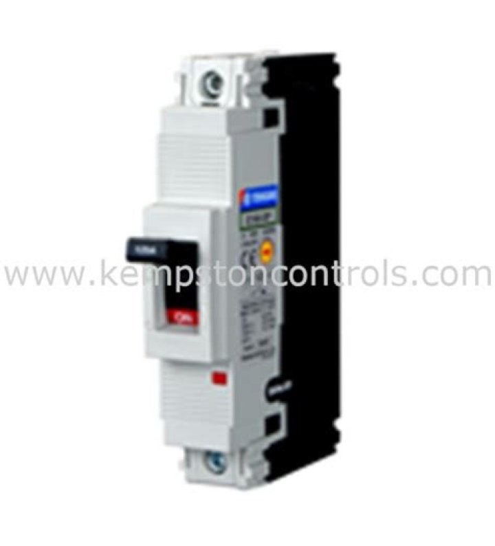 Grace Gummer Ethnicity And Religion, Is Grace Gummer A Christian? - SarkariResult