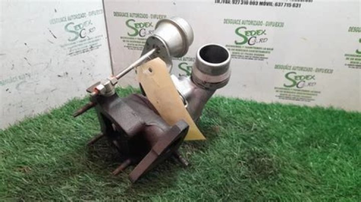 The Madame Blanc Mysteries Wiki, Plot, Cast, Creators, And Everything We Know So Far - SarkariResult