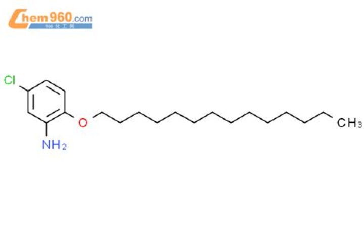 Does Infinite Craft Save Your Progress? - SarkariResult