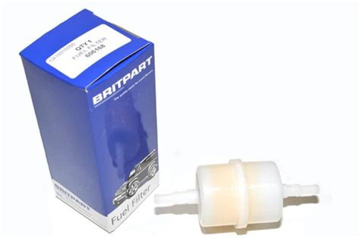 Disguised Toast Face Reveal 2024, Wikipedia And Age - SarkariResult