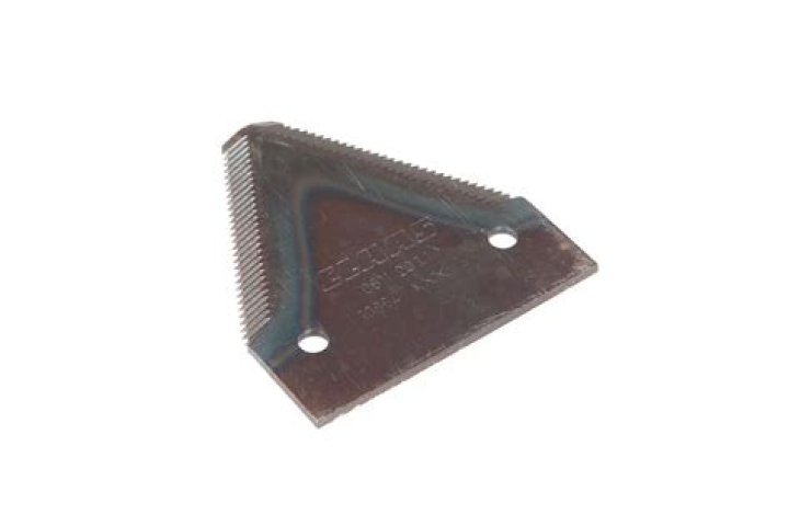 Paddy Madden Net Worth: Career, Family, Age, Income, Wiki, Bio, All You Need to Know - SarkariResult