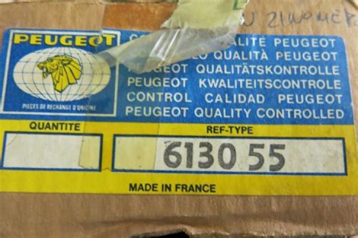 Is Natalie Portman Divorced? Natalie Portman Relationship Status, Where Does She Live? - SarkariResult