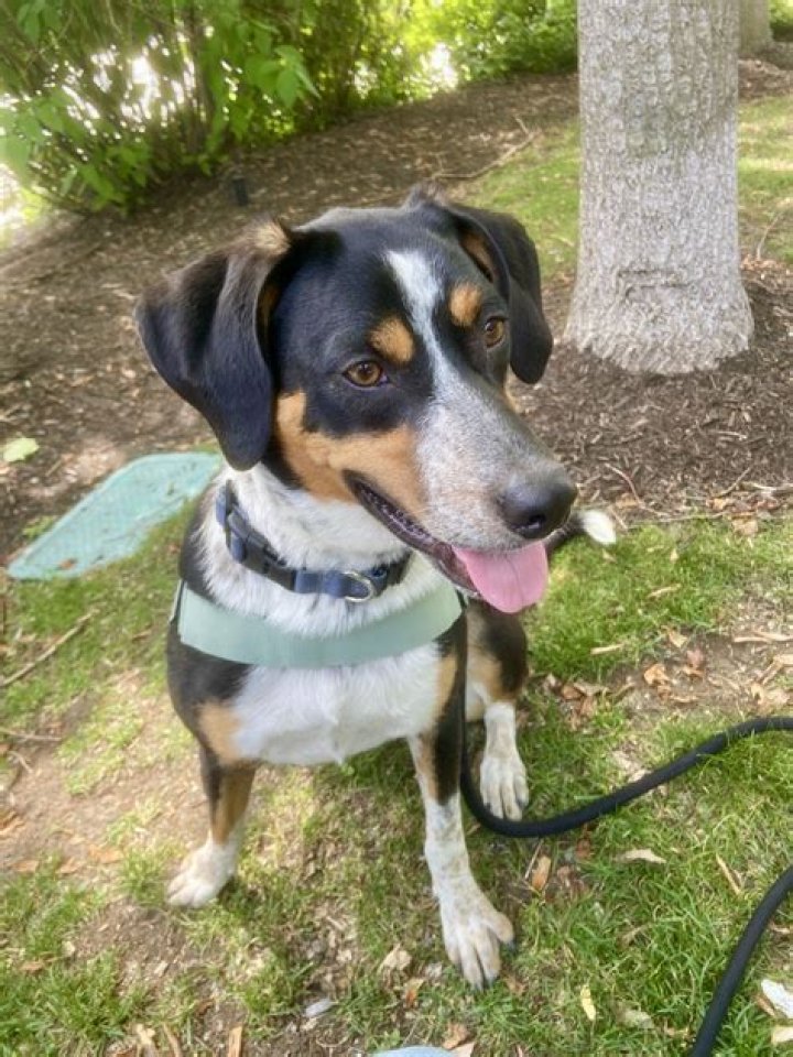 Priscilla Alvarez Net Worth, Wiki, Parents, Ethnicity, Religion, Wikipedia, Biography, Age, Family And More - SarkariResult