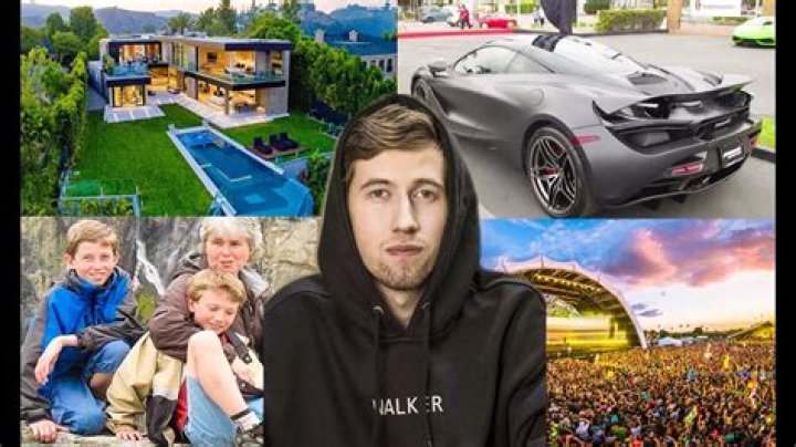 Alan Walker Biography: Net Worth, Age, Songs And Girlfriend