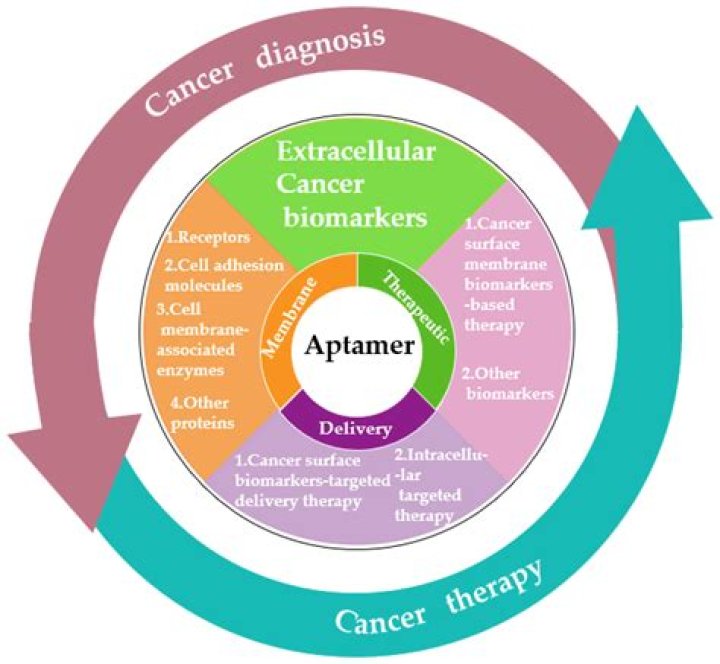 
Andrea Gibson Cancer Diagnosis And Health Update, What Happened To Her? 