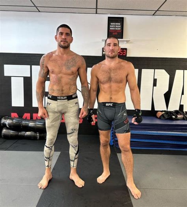 
Andreas Pereira Height, Weight, Net Worth, Age, Birthday, Wikipedia, Who, Nationality, Biography 