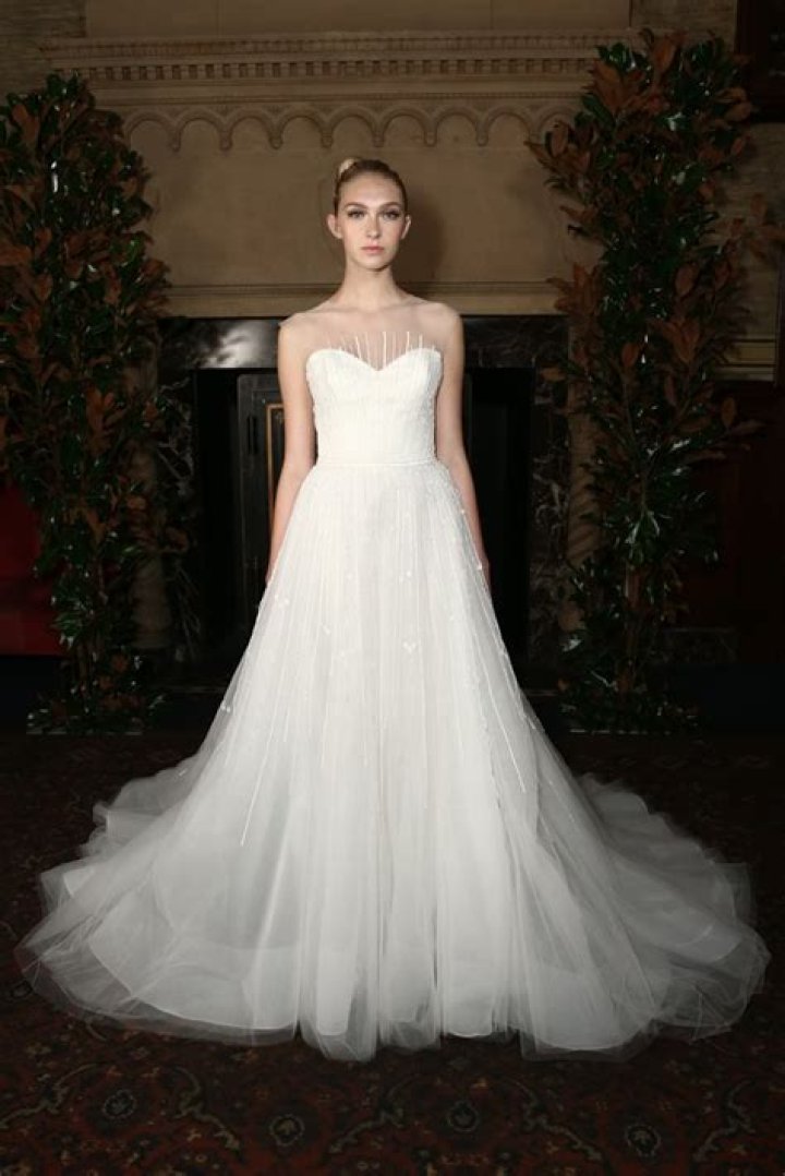 Austin Scarlett Net Worth