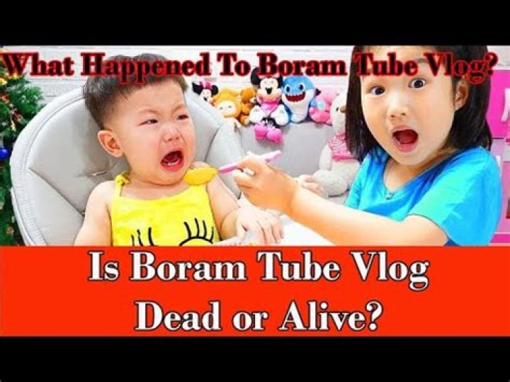 Boram Tube Vlog Is Dead Or Alive? What Is The Real Truth? We Explain
