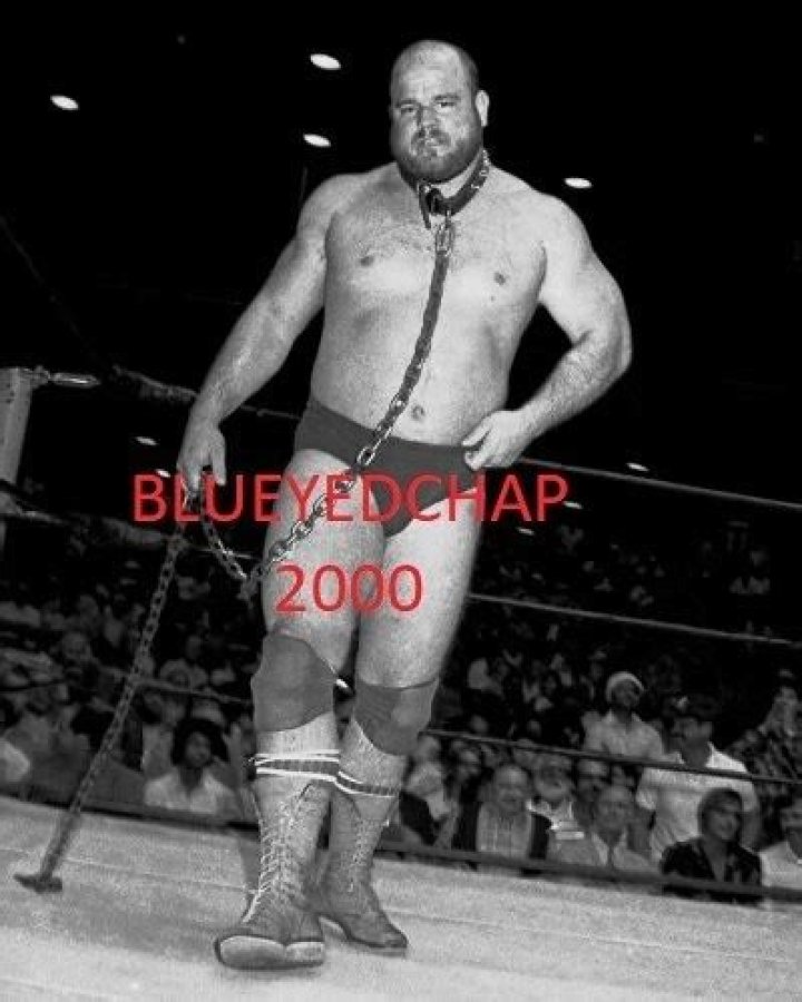 Brett Sawyer (wrestler) net worth at death