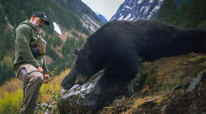 Brian Call Net Worth