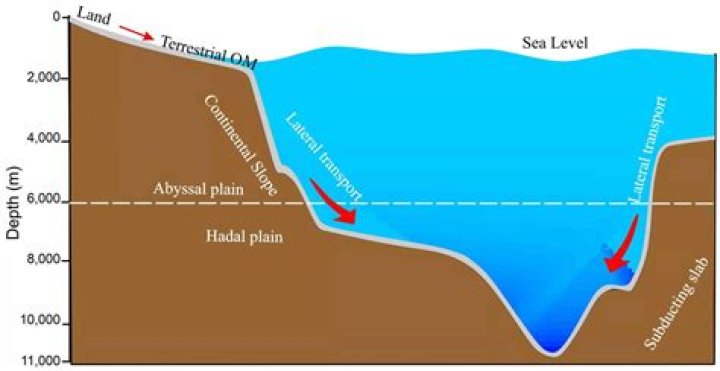 Characteristics of abyssal plain