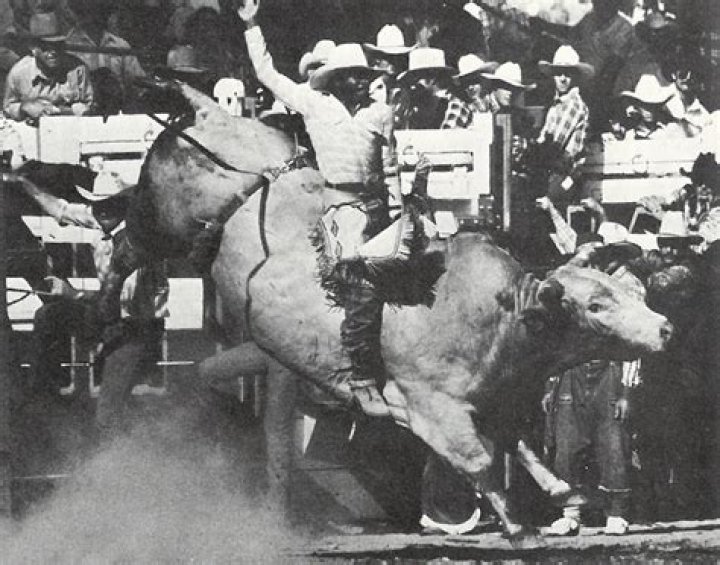 Charles Sampson (bull rider)