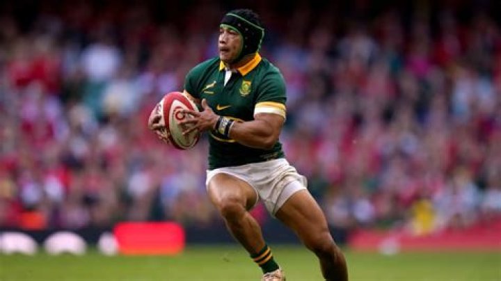 Cheslin Kolbe Height, Weight, Net Worth, Age, Birthday, Wikipedia, Who, Nationality, Biography