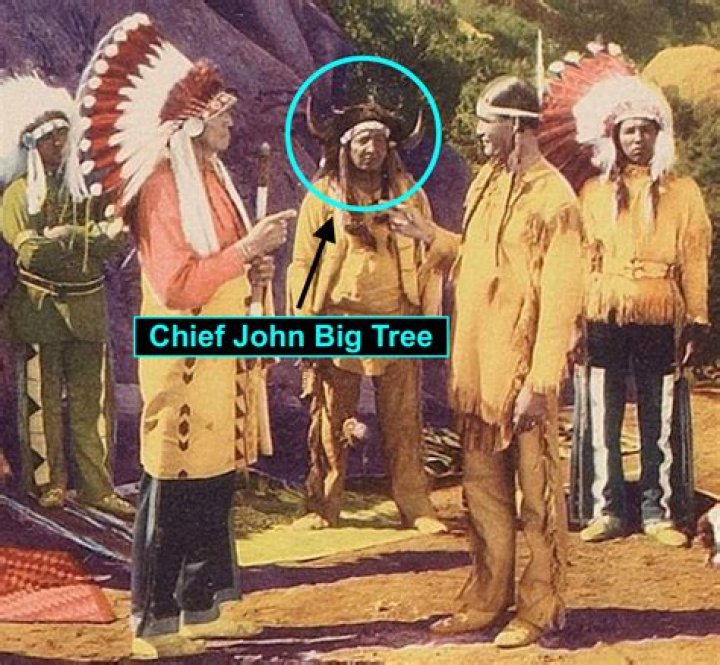 Chief John Big Tree Net Worth