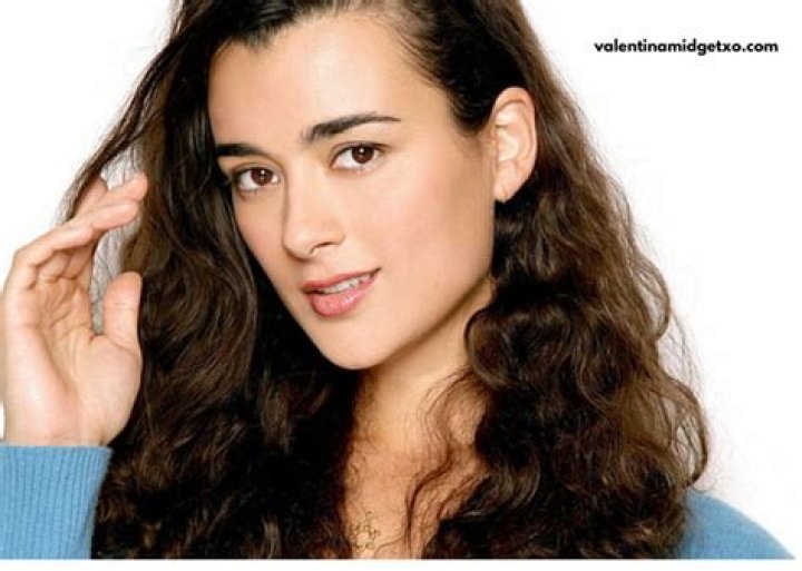 Cote de Pablo Net Worth