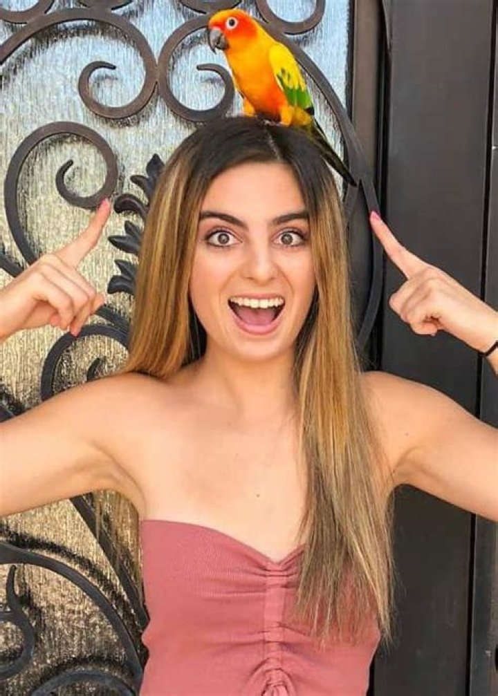 
Dani Zvulun Height, Weight, Net Worth, Age, Wiki, Who, Instagram, Biography 