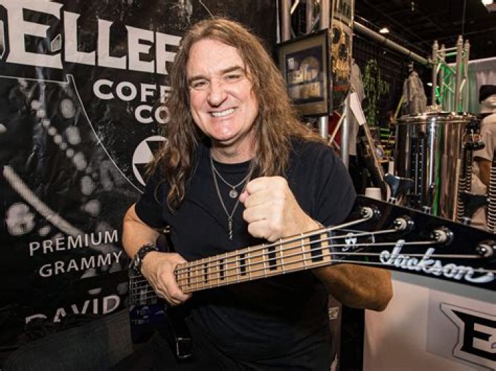 David Ellefson