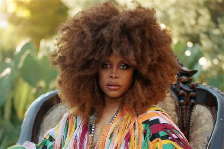 Erykah Badu Height, Weight, Measurements, Bra Size, Shoe Size