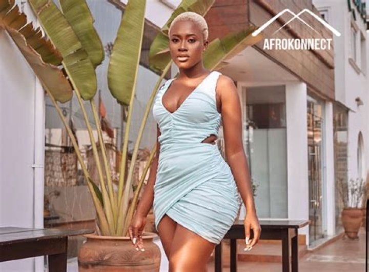 Fella Makafui Height, Weight, Net Worth, Age, Birthday, Wikipedia, Who, Instagram, Biography