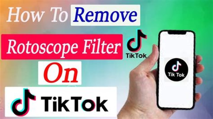 
Free Tiktok Removing Rotoscope Generator On Appstore, How Does It Work & Does It Remove The Filter? 