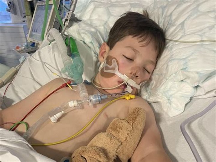
How did Danny Norris die? 7-year-old boy’s cancer battle & cause of death Explained 