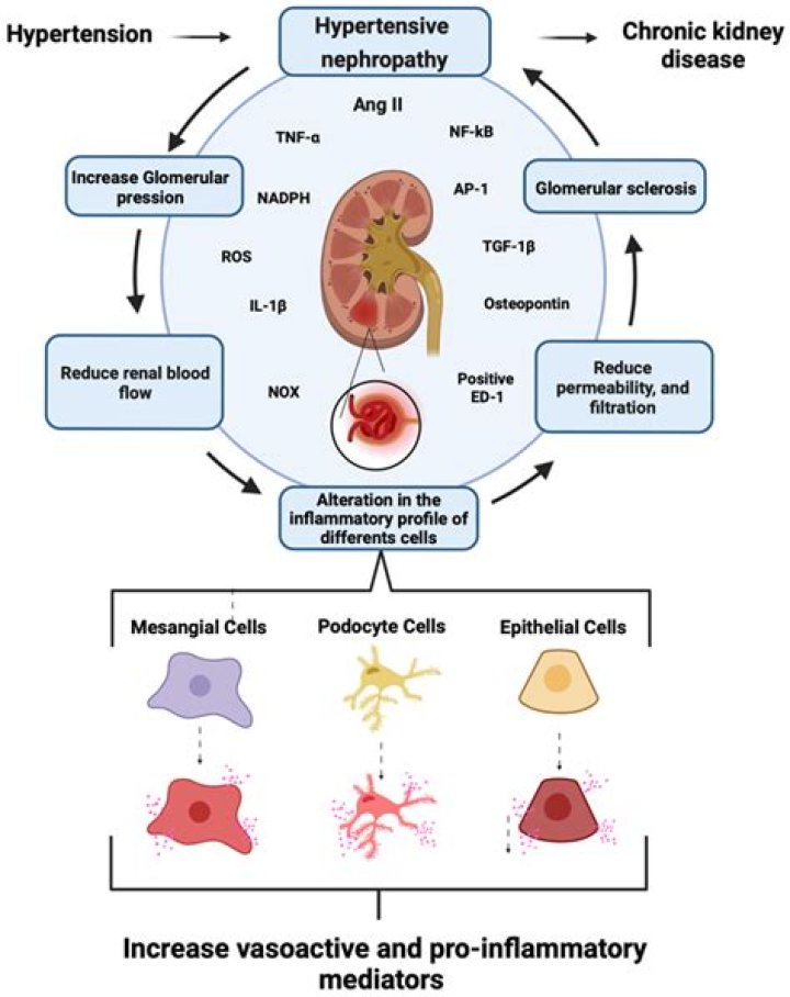 
Ian Falconer Cause Of Death: Natural Cause Or Kidney Failure? 