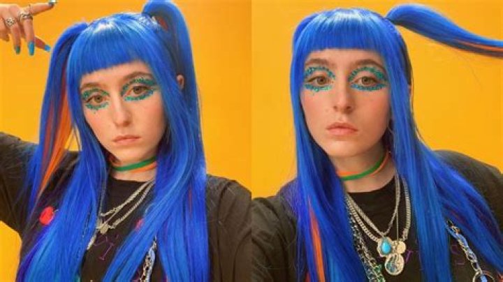 Is Ashnikko Gay? Details On The Sexuality Of The Singer