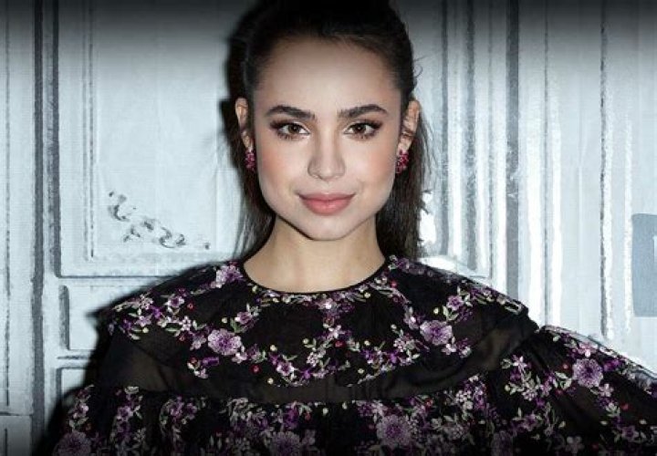 Is Sofia Carson Pregnant? Who Is The Actress Partner In 2022?