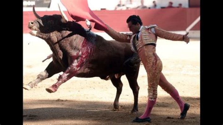 The demise of the Champion matador Ivan Fandino in a bullfight!