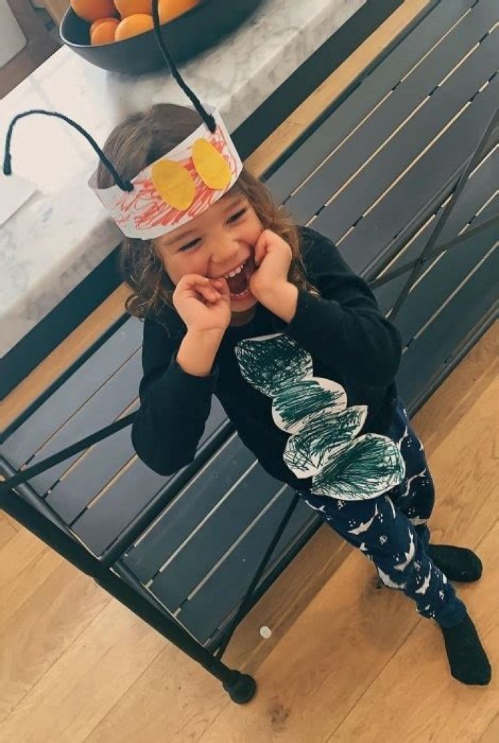 Josey Hollis Dorsey Height, Weight, Net Worth, Age, Birthday, Wikipedia, Who, Instagram, Biography