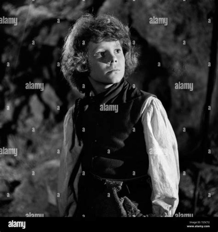 Kim Burfield Net Worth