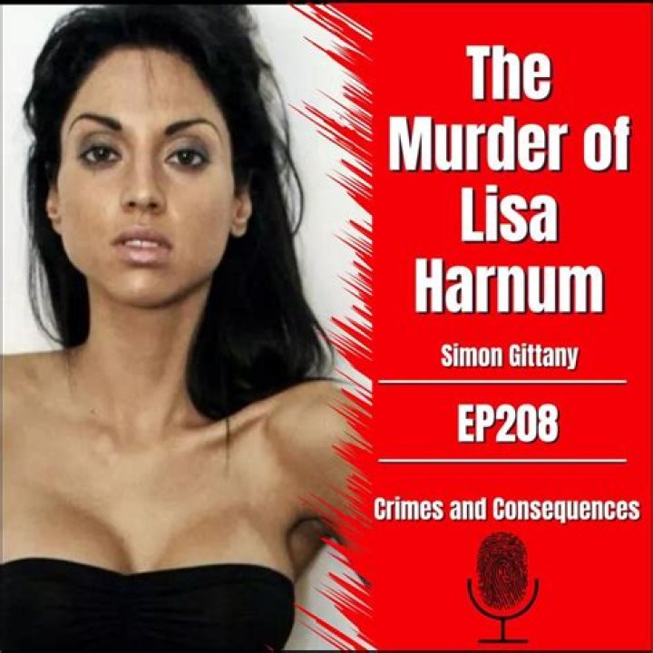 Lisa Harnum Wikipedia : Everything To Know About The Fiancé Of Simon Gittany
