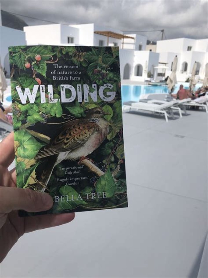 Mark Wilding Net Worth