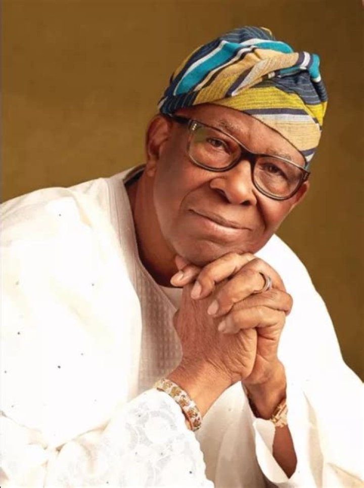 Micheal Ade Ojo’s biography, net worth, fact, career, awards and life story