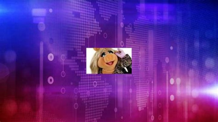 Miss Piggy Net Worth