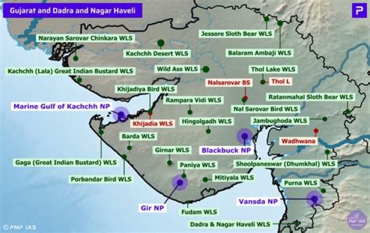
MP’s tiger reserves will welcome tourists from Oct 1 