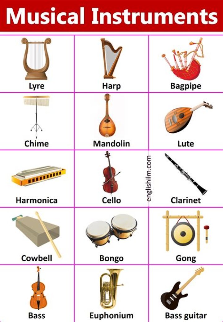 Musical Instruments List A-Z: Names With Pictures