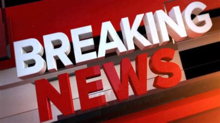 NEWS Archives - Celebrity Profiles