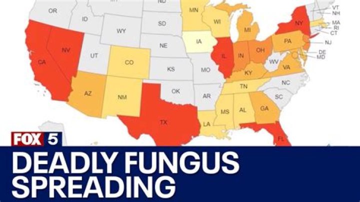
Rising Temperatures Fuel The Spread of Toxic Fungi Across the United States 