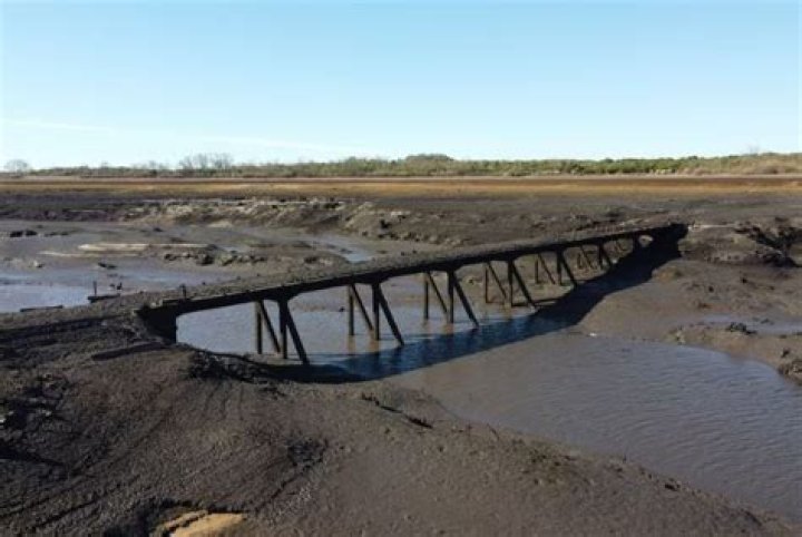 Severino Puente Net Worth