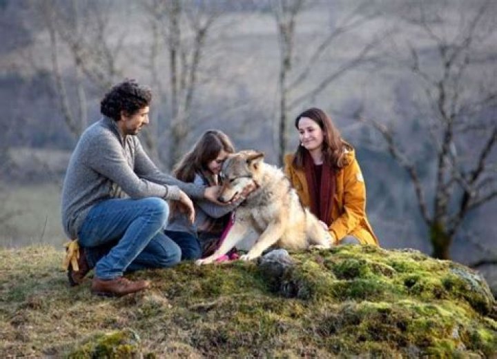 Shanna Keil Height, Weight, Net Worth, Age, Birthday, Wikipedia, Who, Nationality, Biography