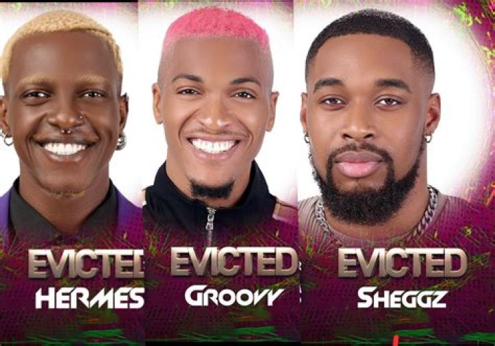 
Sheggz, Groovy, And Hermes Leave BBNaija 7 On The Ninth Episode. 