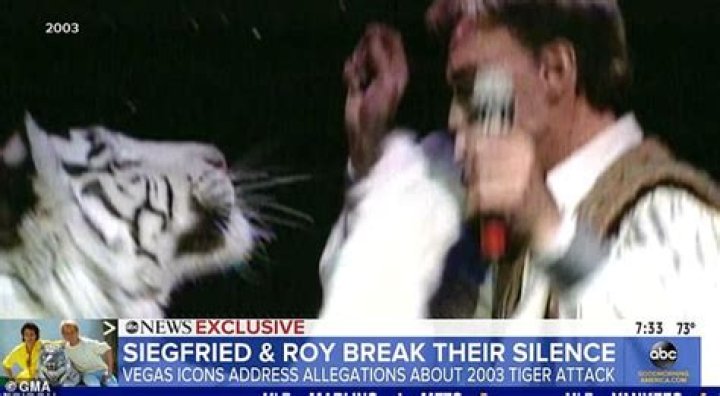 
Siegfried And Roy Tiger Attack Video – Where Is Roy Horn Now? 